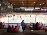mIMG_8939.jpg